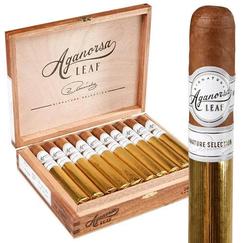 AGARNOSA SIGNATURE SELECTION ROUND