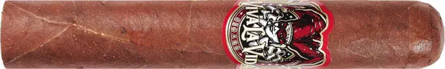 EL ARTESANO VIVA LA VIDA CONNECTICUT ROBUSTO (Singular)
