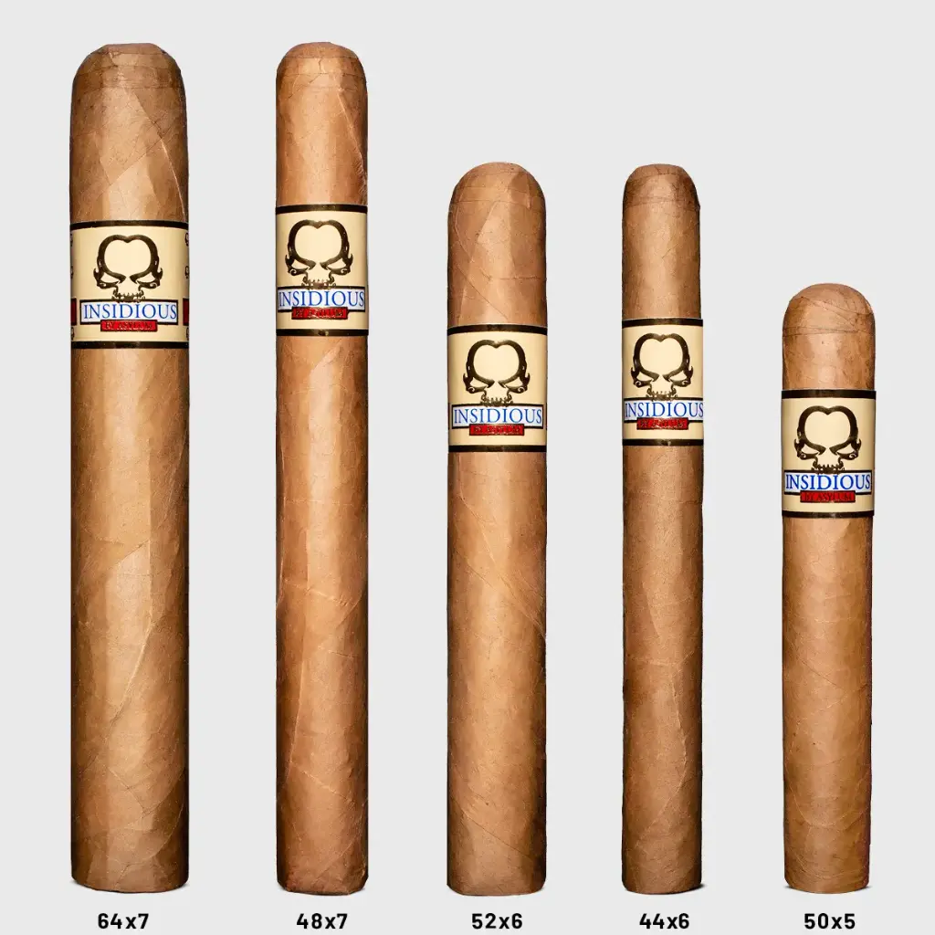 Asylum 13 — ASYLUM INSIDIOUS MADURO